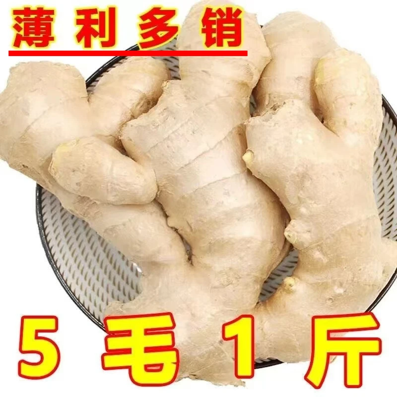 生姜便宜老姜大姜辛辣干净无土生姜蔬菜大黄姜月子姜生鲜姜山东姜