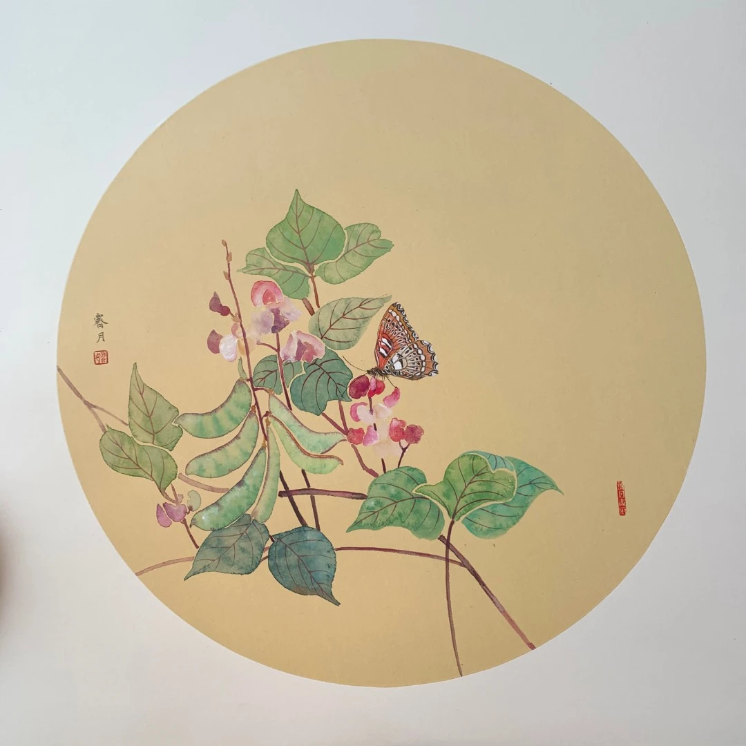 中国风工笔画《满架秋风扁豆花》家居装饰送礼