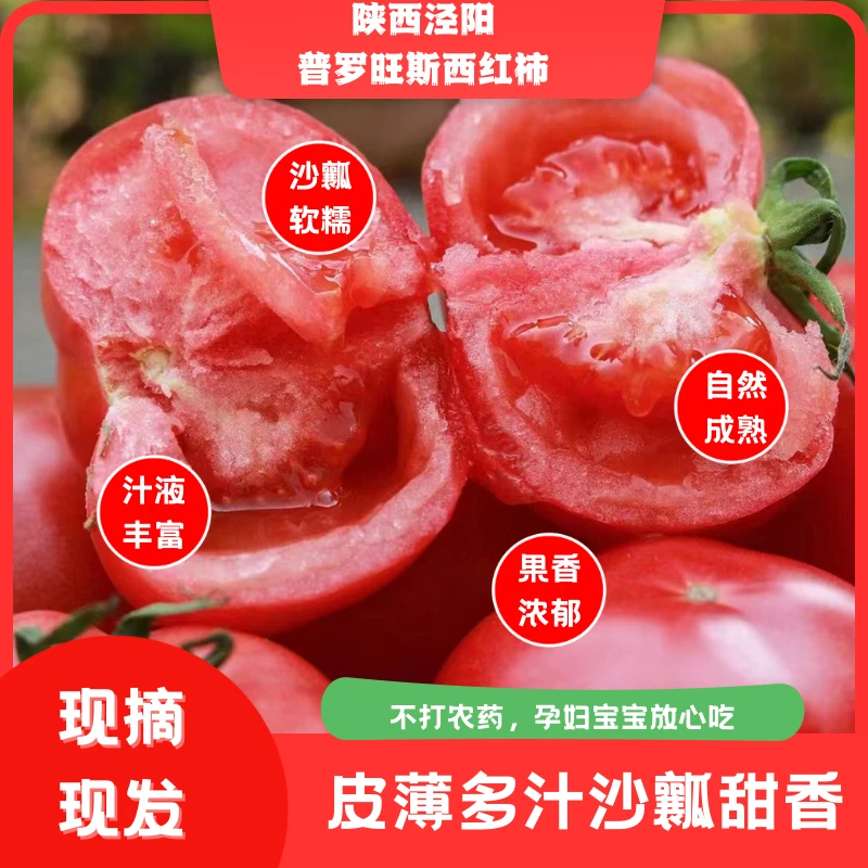 顺丰-陕西咸阳普罗旺斯好吃4.5~5斤新鲜农产品应季蔬菜沙瓤多汁