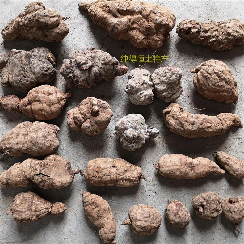 广西深山采挖新鲜和手乌自然晒干农产品食材煮水煲汤泡酒500g