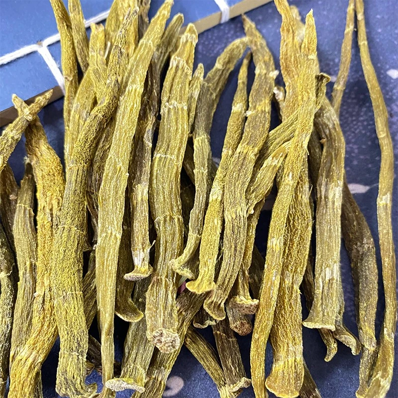 云南特产珍虫-干条石斛