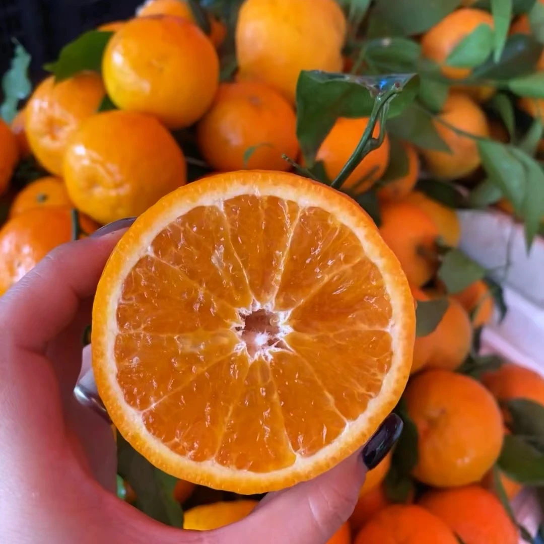 【柠柠专属】广西沃柑细嫩爽口多汁新鲜5斤装 现摘现发