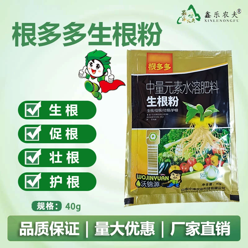 生根剂 根多多 生根快 根壮苗旺叶肥喷施植物营养农肥防烂根园林