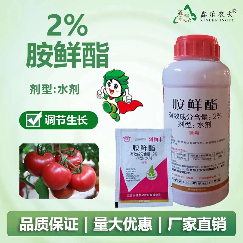 胺鲜酯植物生长调节剂促生长低温也有活性冬季搭配肥料效果好促进