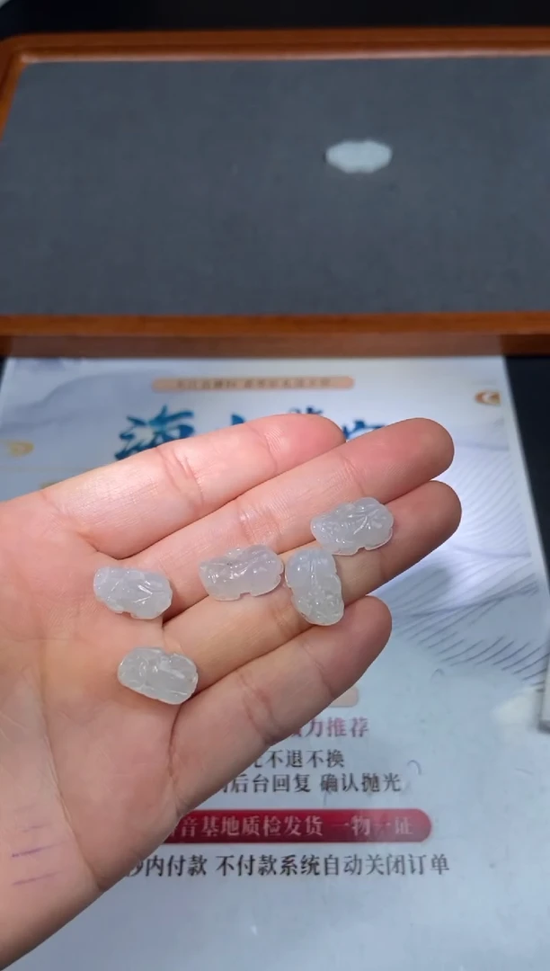 【闪购商品】翡翠颈饰未镶嵌-24HDJT0235280多样性发其一