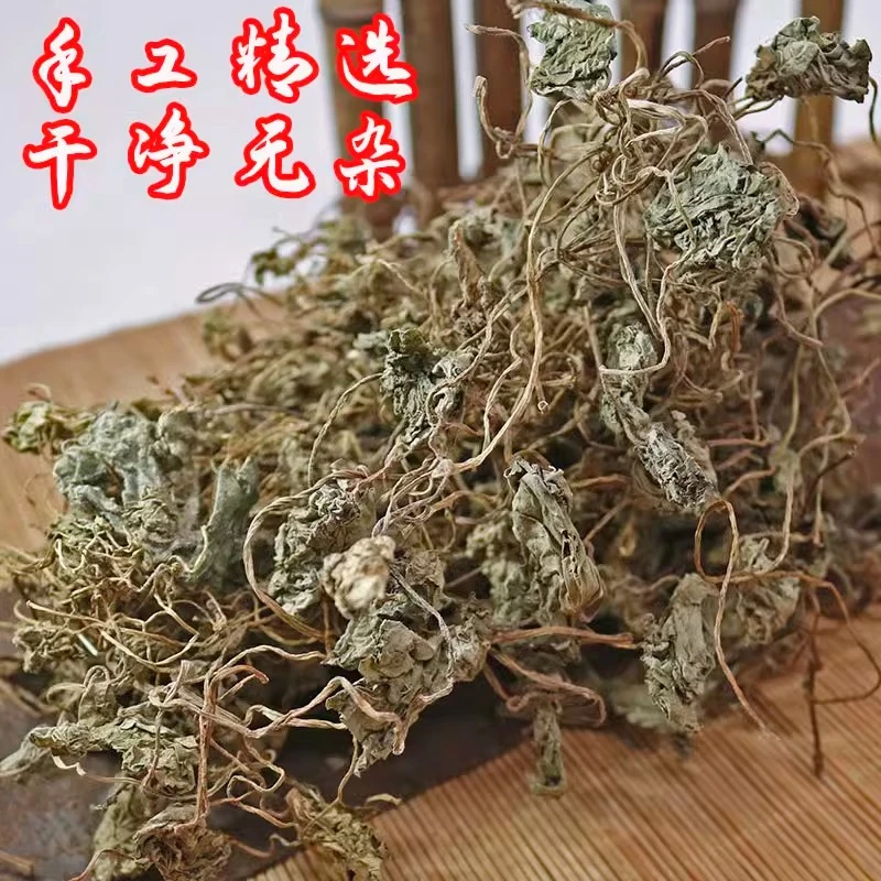 青天葵100克/200克 半边伞珍珠叶坠千斤独角天葵