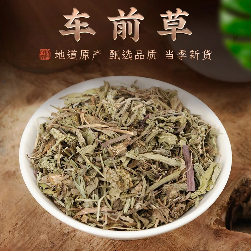 车前草250克 精选车轮菜五更草泡茶 中草药材原材料