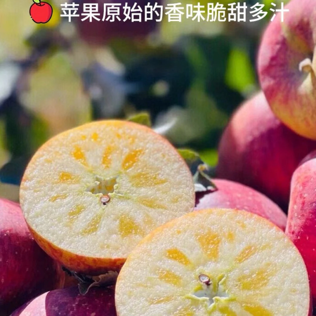 大凉山盐源糖心丑苹果小果，果子小，糖心极少，一样脆甜，介意的慎拍