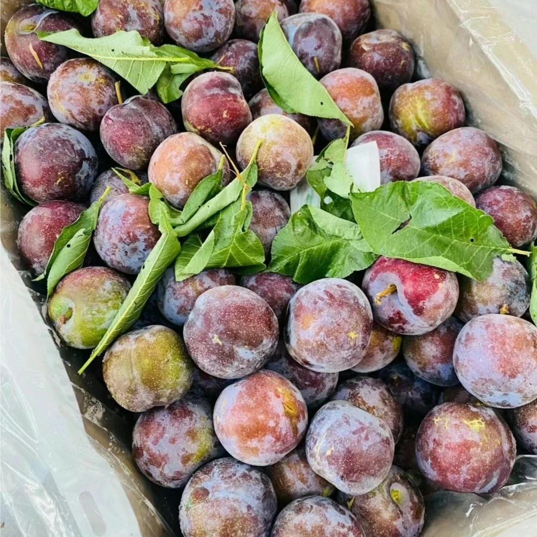 蜜饯李2斤
