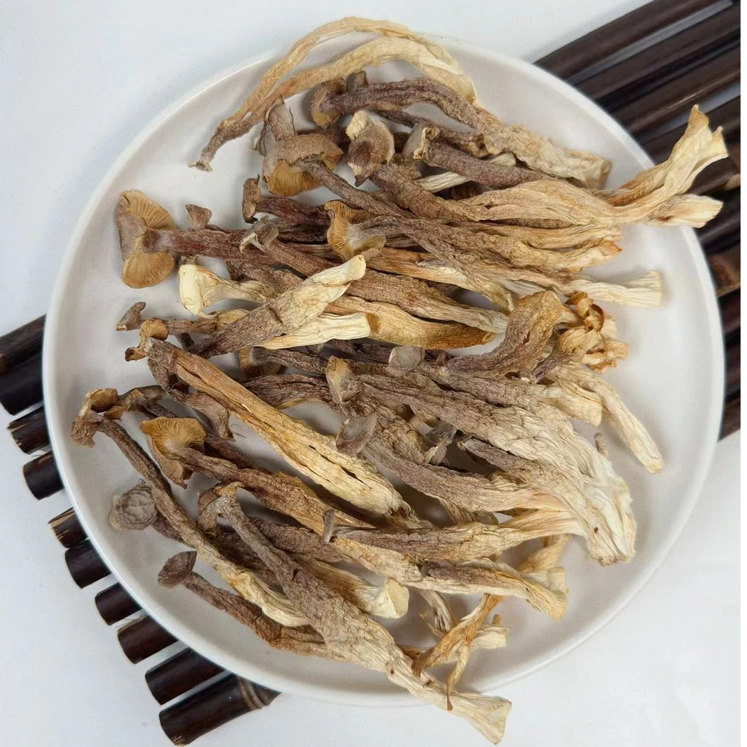 百婉级精选鹿茸菇干货