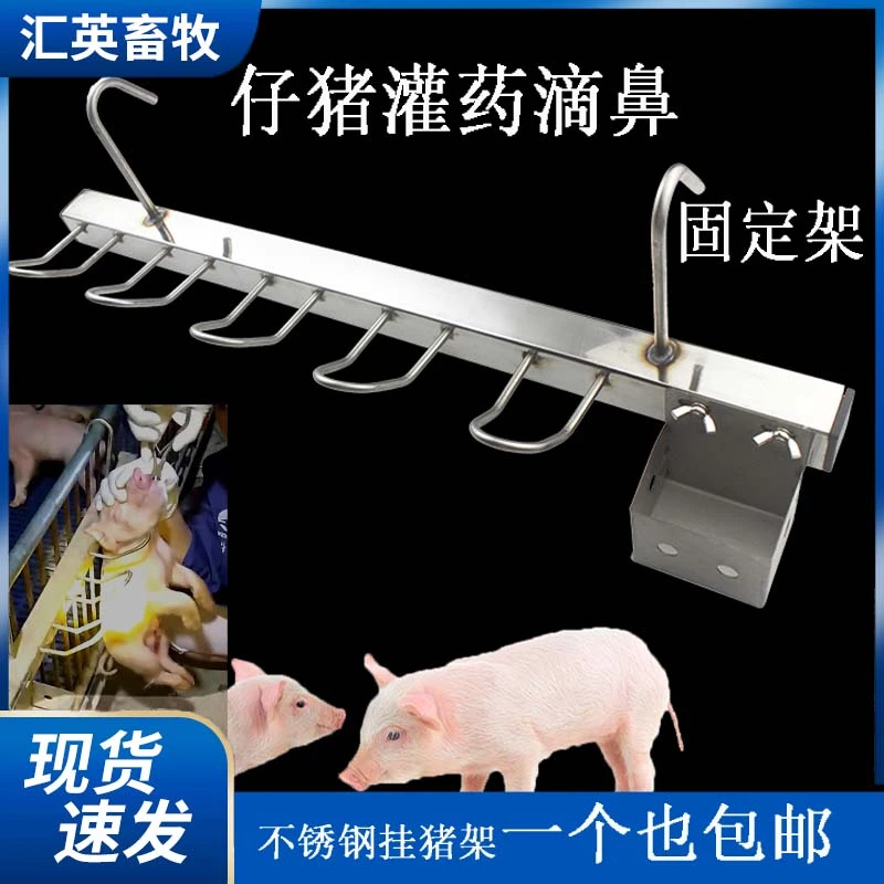 挂猪架小猪灌药喂药滴鼻固定架不锈钢仔猪剪牙注射挂钩阉猪用设备