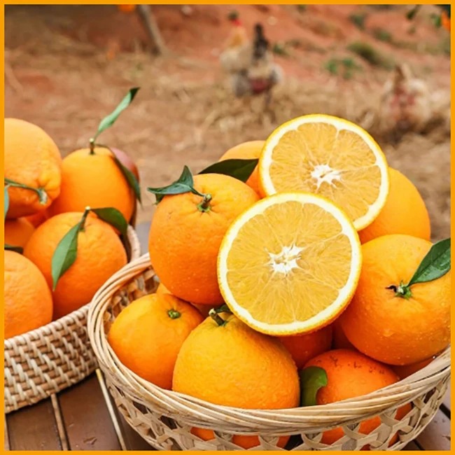 【赣南脐橙】5斤高山种植天然新鲜采摘酸甜可口当季快递包邮
