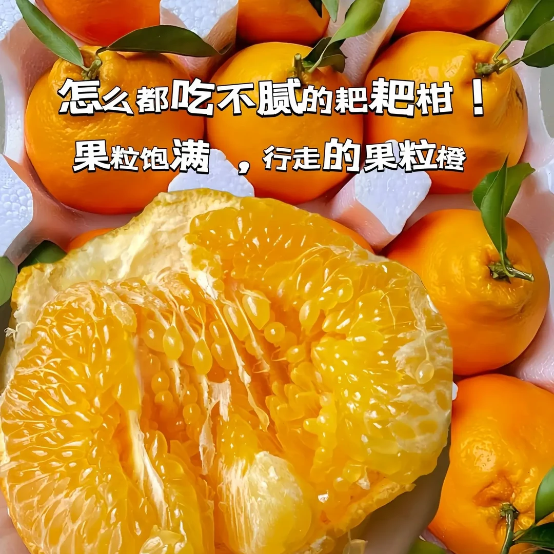 四川春见耙耙柑原产地现摘现发当季新鲜水果自然成熟拒绝抛光打蜡
