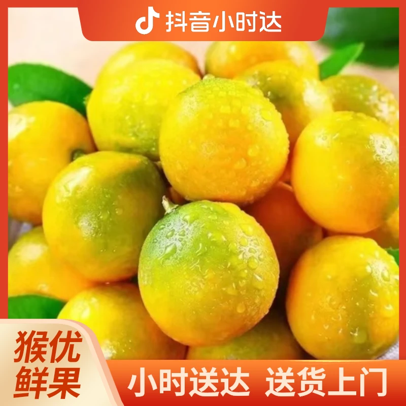 【拉萨同城配送】广西脆皮金桔