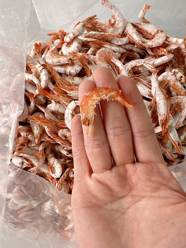 碣石南海船晒仁干 虾仁干 虾仁