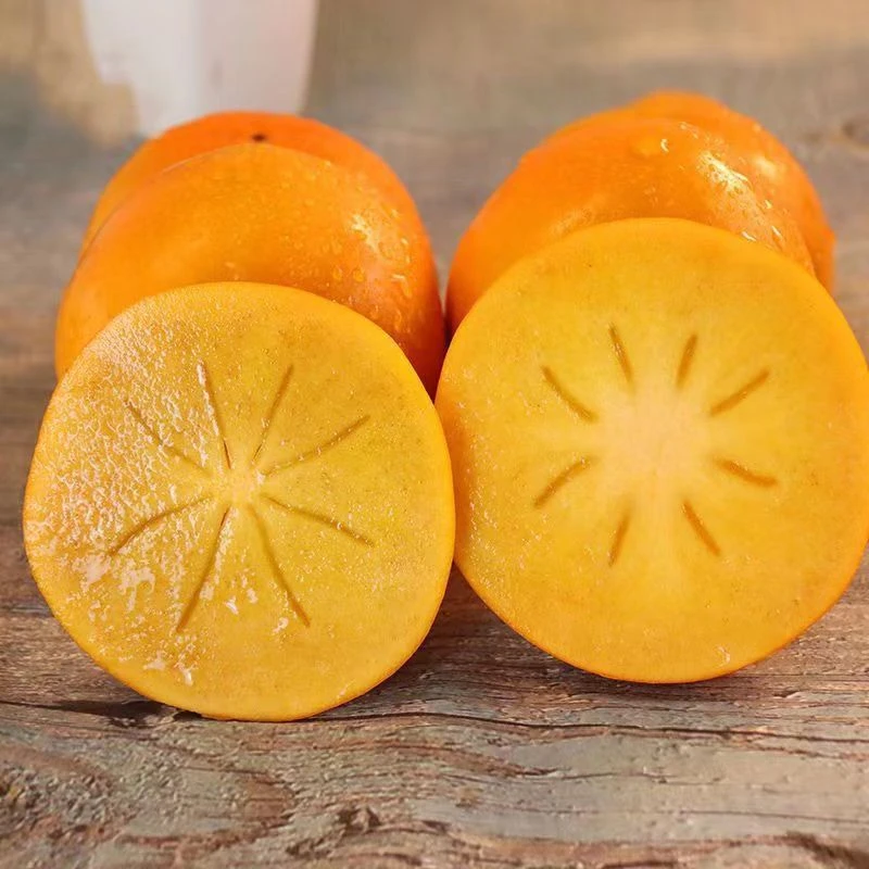 陕西巧克力脆柿子新鲜水果脆甜柿子纯甜阳丰脆柿现摘现发