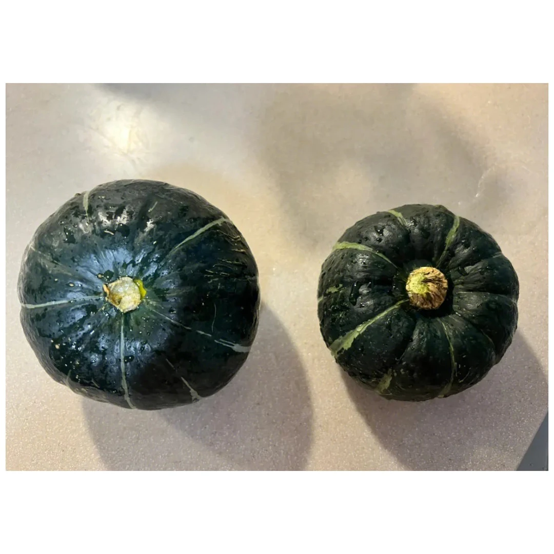 贝贝南瓜约600g南瓜同城送