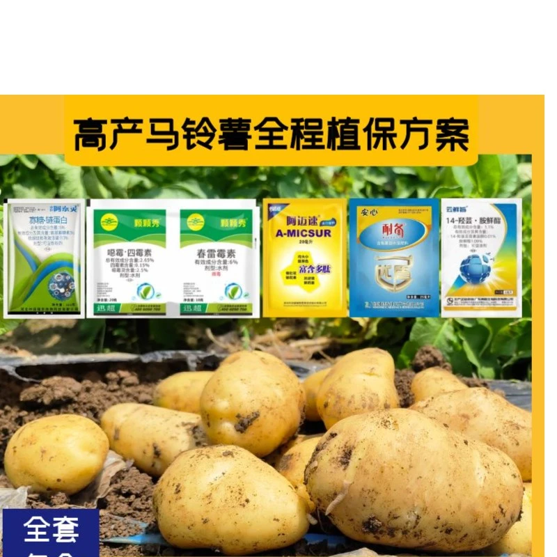 马铃薯全流程植保方案土豆从种到收全套种植方案