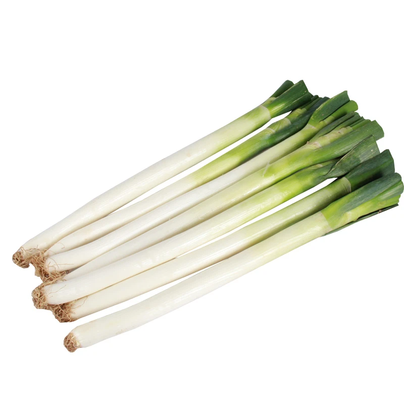 大葱 约500g
