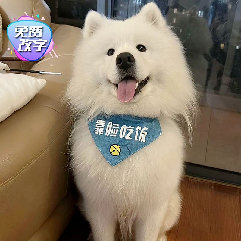 个性围嘴萨摩耶三角巾宠物狗狗口水巾围兜围巾大中小型犬猫咪围嘴