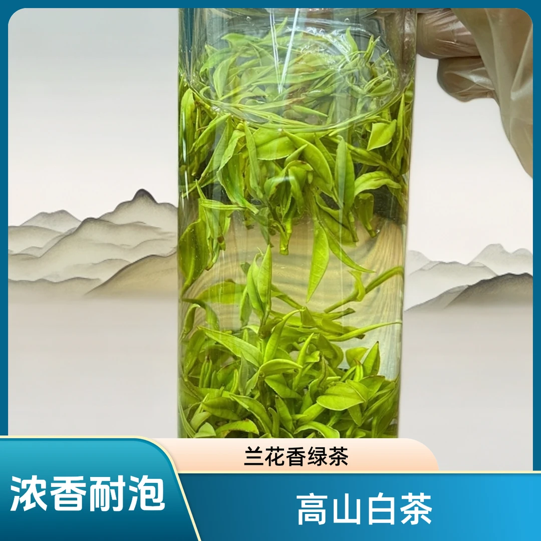 高山白茶 2025年明前新茶 一芽一叶 兰花香绿茶 浓香耐泡