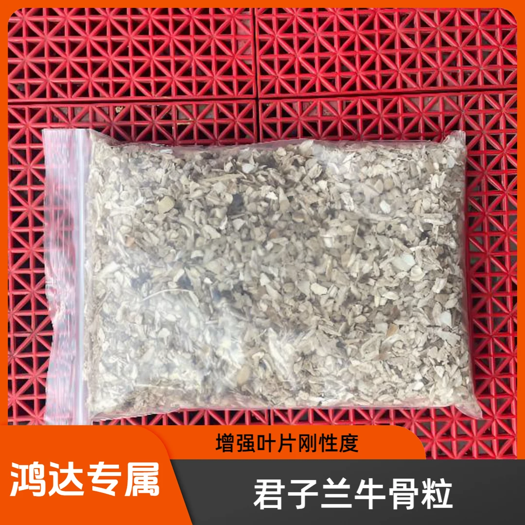 君子兰花卉通用 牛骨粒2包2斤