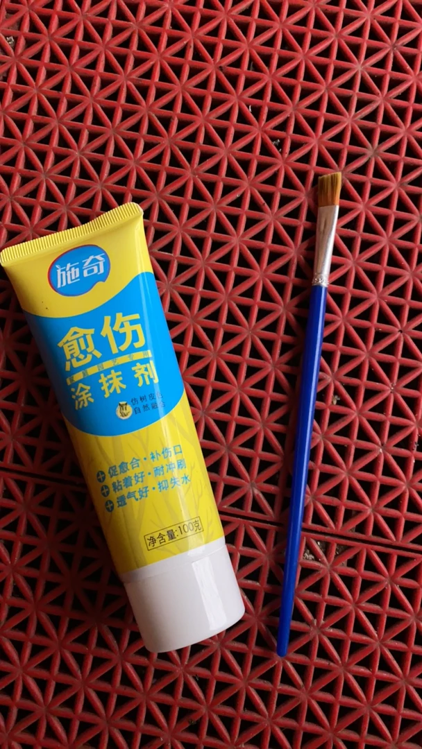 君子兰专用伤口愈合剂一份（赠毛刷）