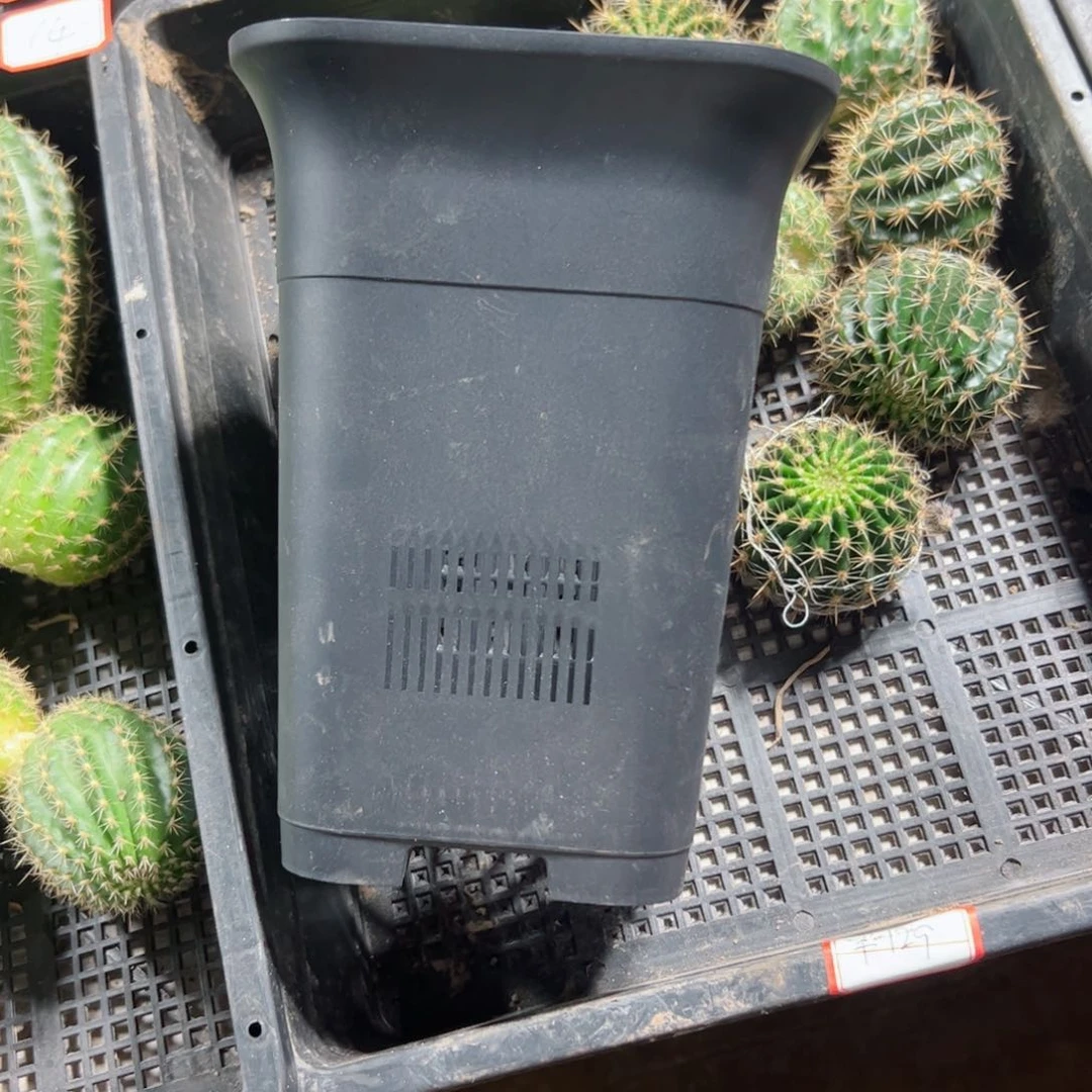 下74黑万象150口径15高20无托盘20包邮