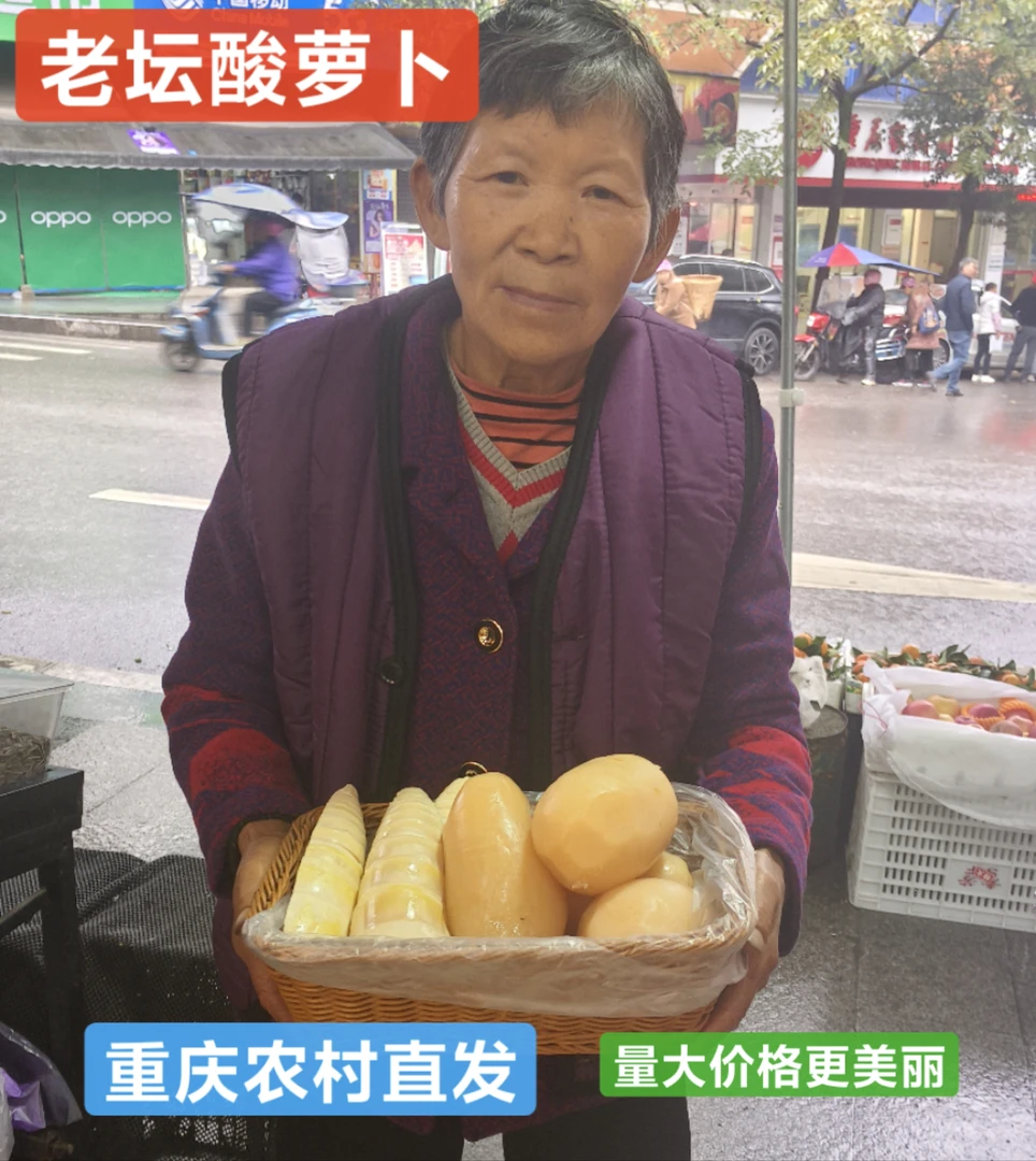 （老坛酸萝卜）重庆农村老坛酸萝卜土坛子泡萝卜炖老鸭汤川菜家庭版