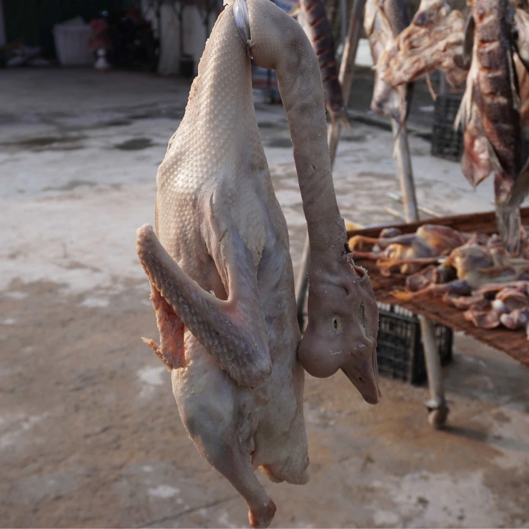 2025年新农家手工腌制咸鹅带爪子