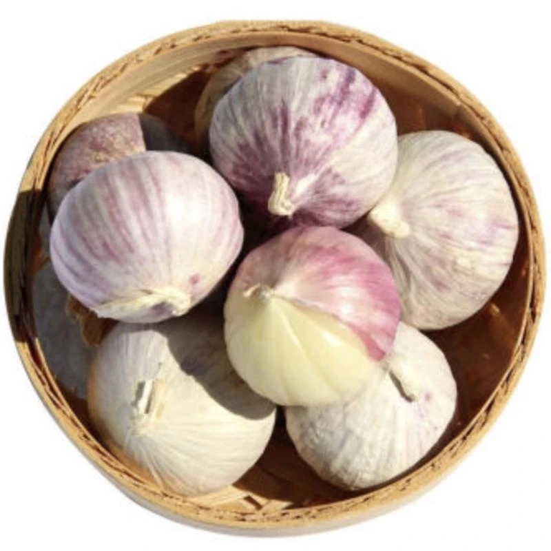 独头蒜约200g