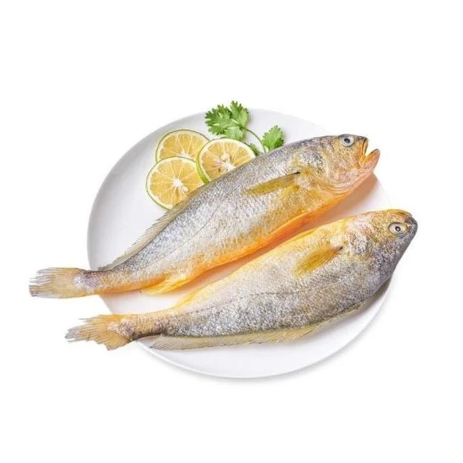 冰鲜黄花鱼 410-500g每条顺丰包邮