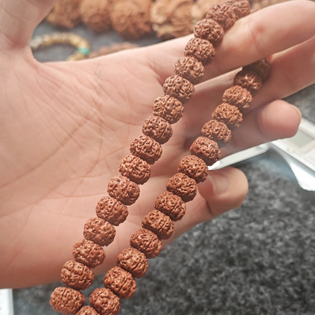 破树籽 紫皮老树平细金刚菩提