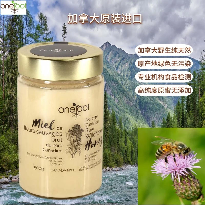 加拿大一根牌野生百花蜂蜜500g 滋补养生原装进口礼物 纯天然蜂蜜