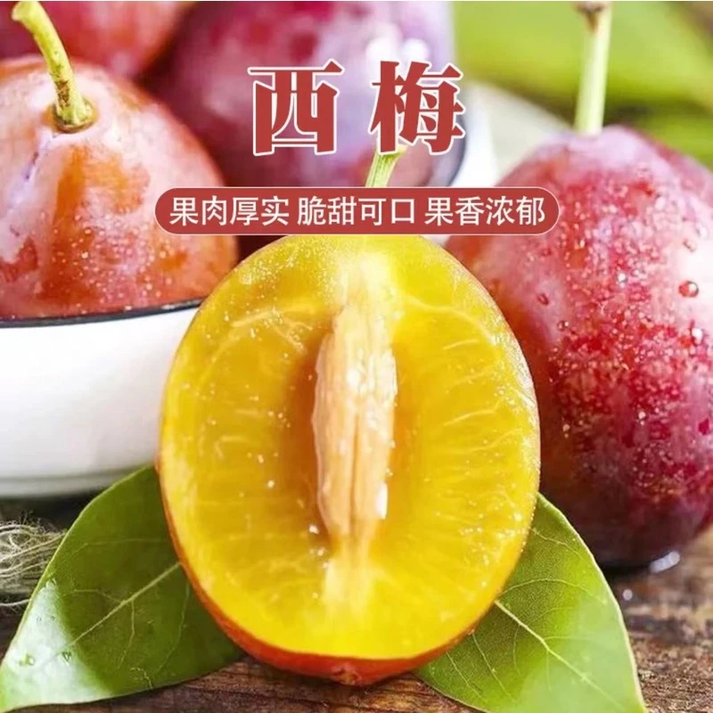 《礼盒装》新疆喀什西梅3.5斤左右    京东包邮