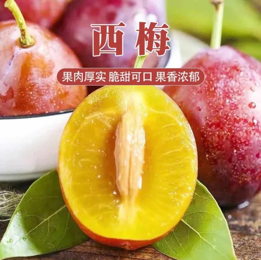 《农人老三》新疆喀什西梅一箱3斤左右 泡沫箱发货   京东包邮