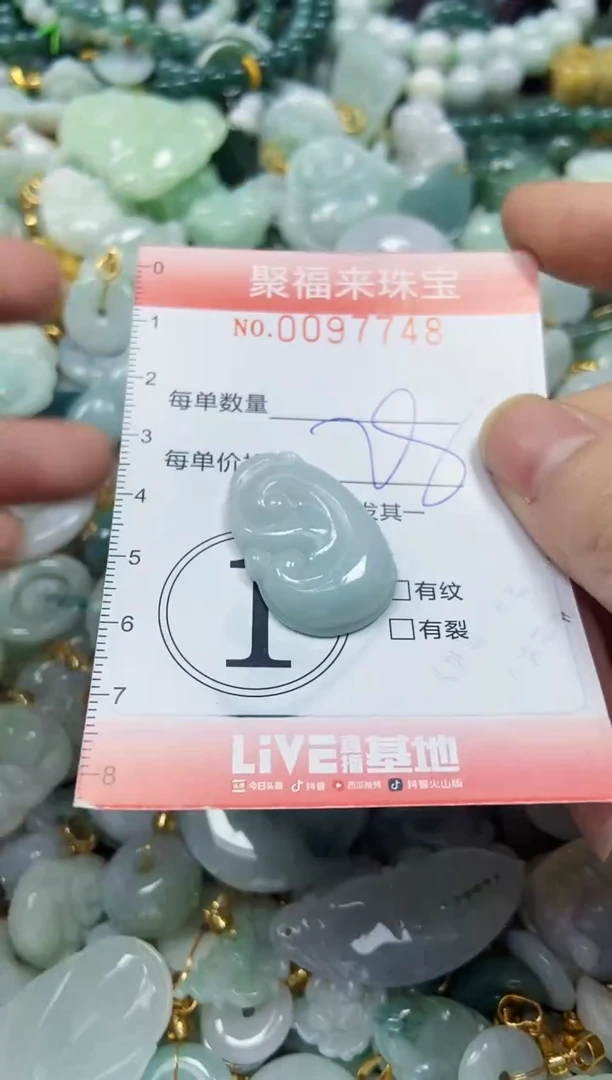 【闪购商品】翡翠颈饰未镶嵌闪购0097748