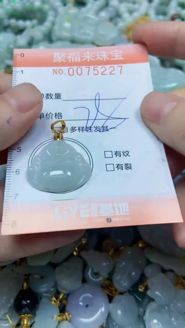 【闪购商品】翡翠颈饰未镶嵌闪购0075227