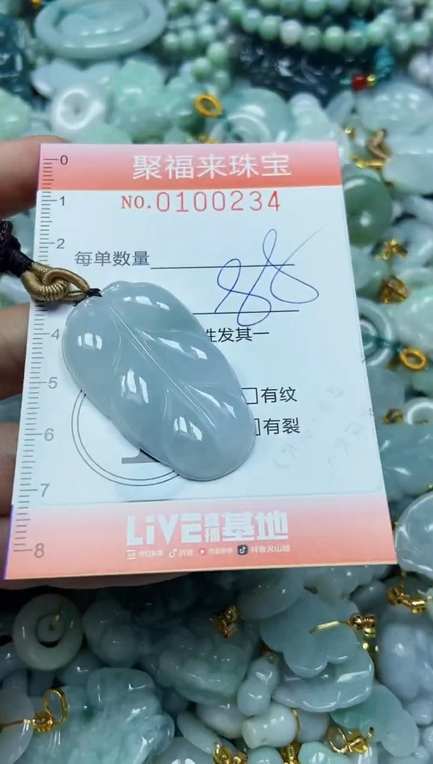 【闪购商品】翡翠颈饰未镶嵌闪购0100234