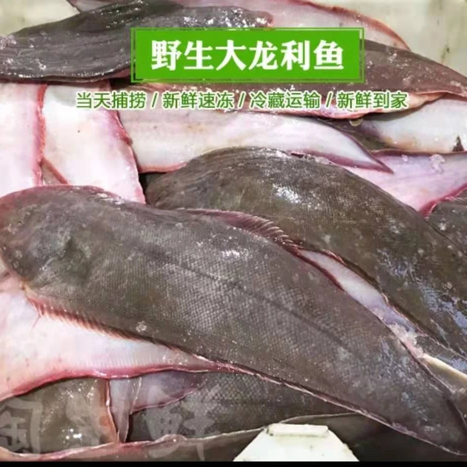 连云港发出 海捕鳎目鱼龙利鱼通货大小不一急冻发货