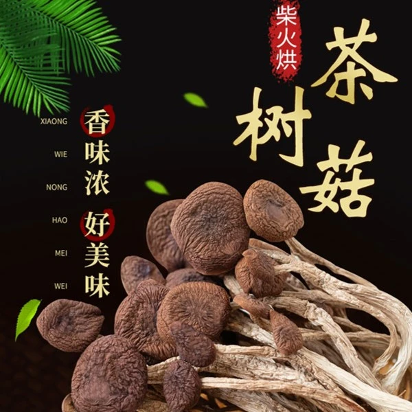 福建古田茶树菇不开伞短柄煲汤焖肉特产炖鸡香味散装煮汤食用150g