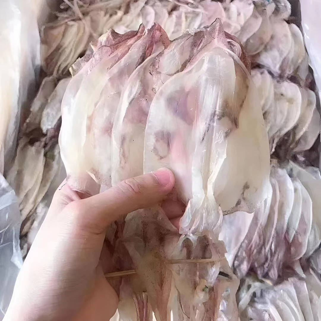 广东本港甲子小鱿鱼干煎煮炒炸烤火锅每斤大约18至33条新鲜晒干