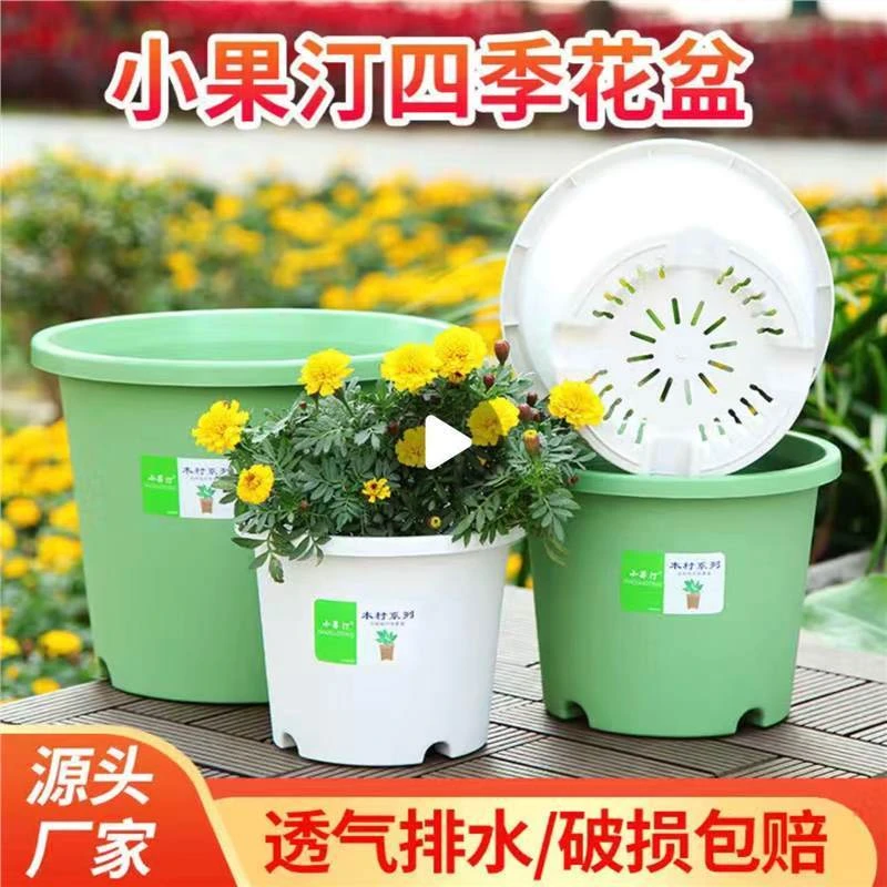 250# 白色 小果丁花盆 送托盘(口经24.5高20cm)