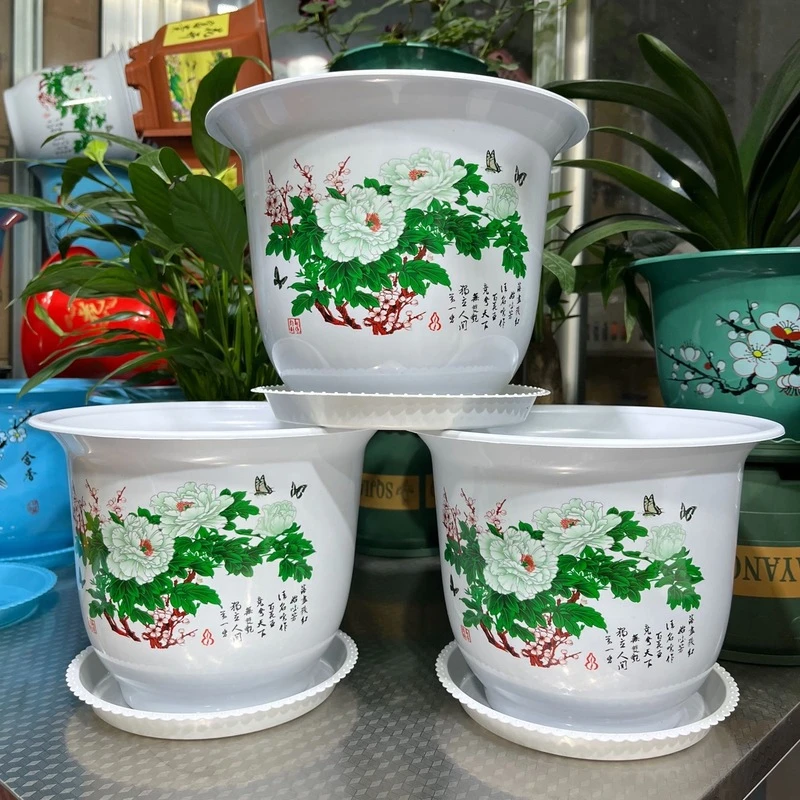3个200#白牡丹花盆 【直径19.5厘米,高度15厘米】送托盘
