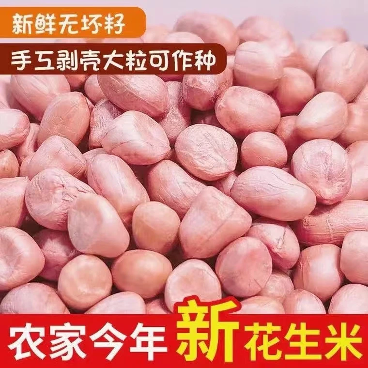 【年货好礼】河南特产现剥大白沙新花生米不带壳新鲜花生仁榨油