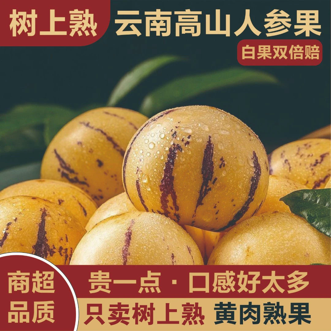 【真正树上熟】云南石林人参果成熟爆汁清甜包赔多汁规格爽口现摘