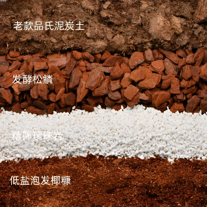 枫树专用配方土10升 老款品氏泥炭+发酵松鳞+低盐泡发椰糠+珍珠岩