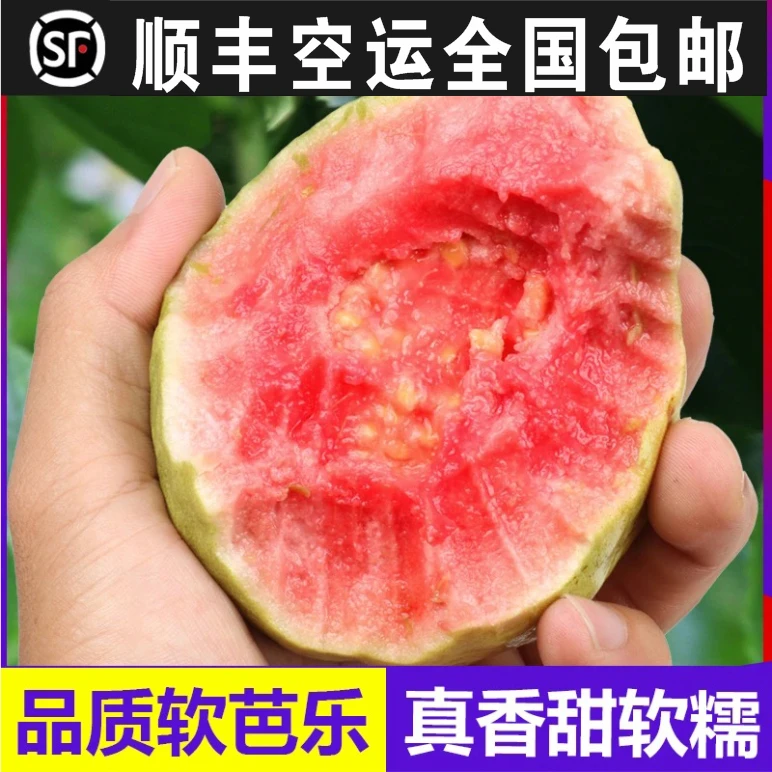 广西红心芭乐软糯香甜奶油口感新鲜番石榴水果顺丰新疆包邮2/3/5