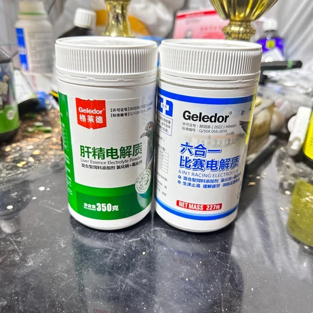 格莱德 肝精电解质 六合一电解质 信鸽赛鸽鸽子比赛归巢