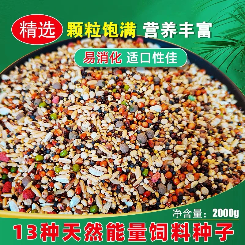 赛鸽信鸽 鸽子 魔鬼饲料 小颗粒4斤装鹦鹉粮优质易消化添加产品